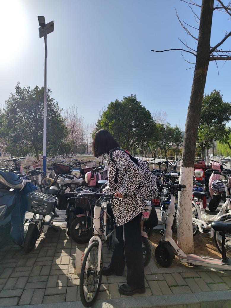 d861305758fd42e5b554452134eae0f4.jpeg