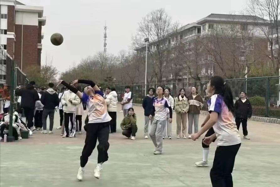 ce733b1ee38c43518eb3fcbfaa184f8c.jpeg