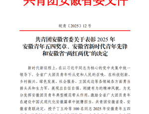 太阳成tyc33455ccwww2021级历史学（师范）班团支部荣获团省委五四表彰
